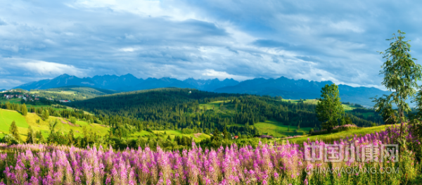 1678243692940544.png image.png