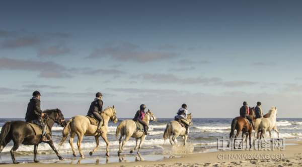 1678243722429122.png image.png