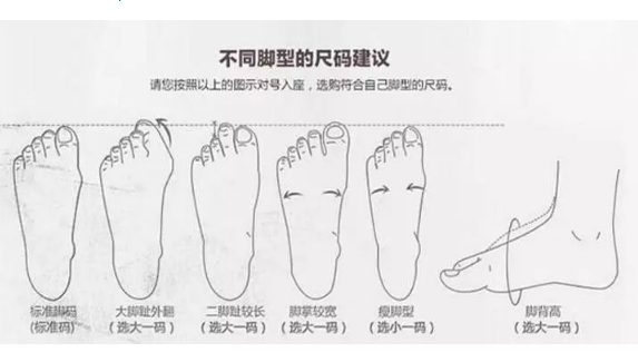 1534919576831971.png 高跟鞋hold不住?根据脚型选鞋型,时髦上天还很舒服